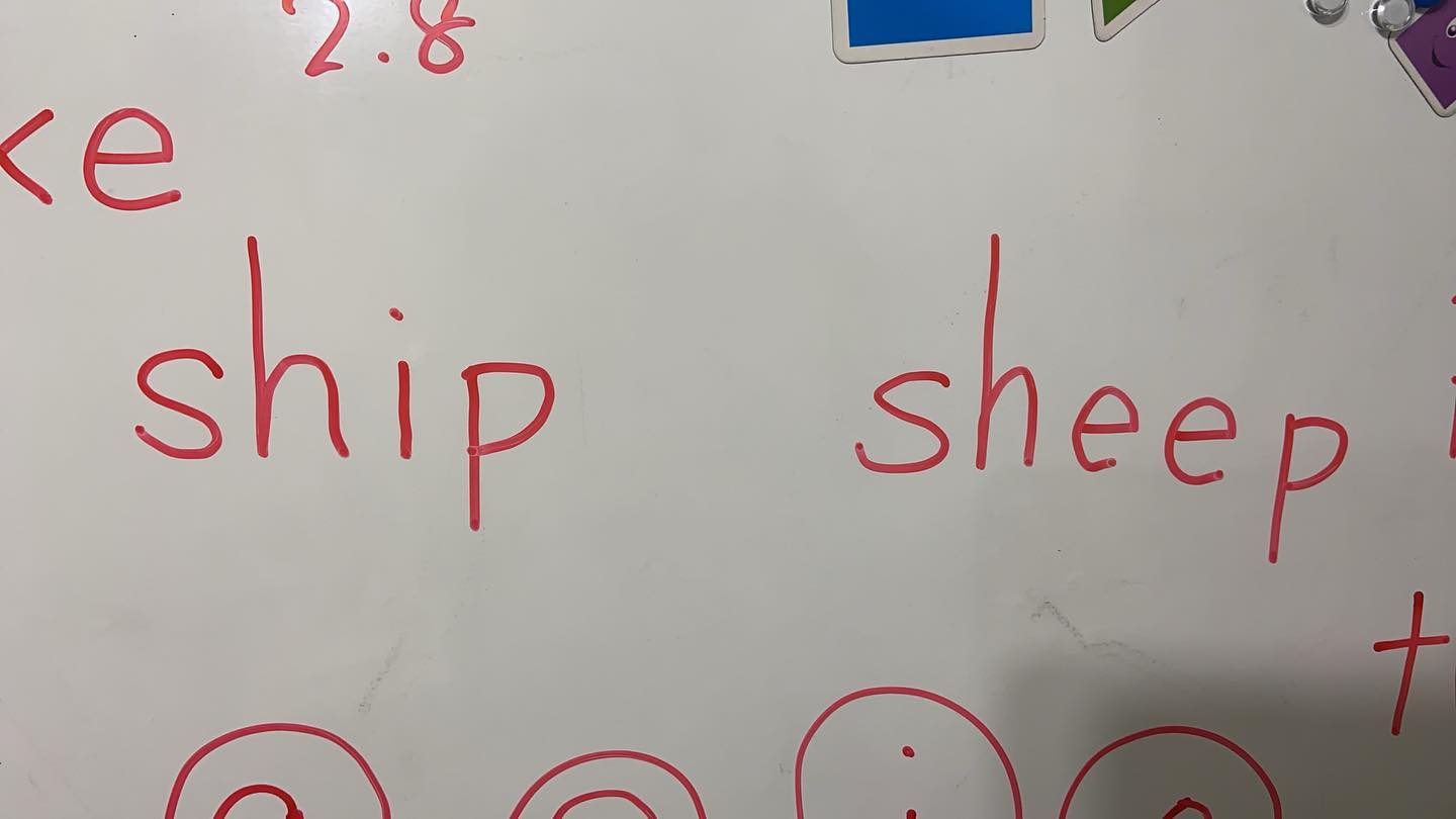 今日のレッスン始めに、小4年の女の子から質問されました。先生、ship とsheepの発音なんか違う。どんなふうに違う？？ship のi は何回も練習している母音ですが、sheepの母音ee はまだ取り上げていませんでした。全部のフォニックスルールを習ってから英文を読み始めるわけではないので、出てくる英文で出会った単語の音についてこのような質問がでます。ただこの質問、この彼女の学習段階で出るのはすごいことです。音声を、よーく聴いているね！と褒めまくり、その後、iとeeのそれぞれの口の中の形を説明して練習しました。発音記号では/i/ と /i:/の違いです。日本語と英語では発音する時使う口や舌の筋肉が違います。筋肉が弱ければなかなか出せません。しかし口の形の作り方や筋肉の使い方が、正しい方向に向かっていれば、丸です#発音#子ども英語#発音指導#英語絵本